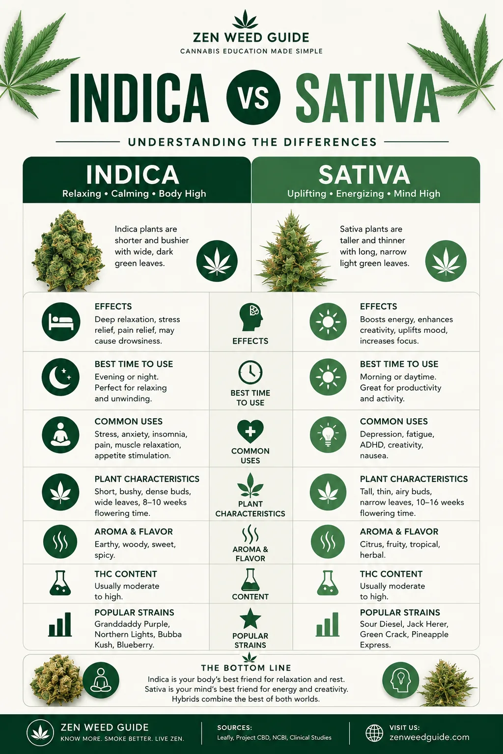 Indica vs Sativa comparison infographic showing plant characteristics, effects, terpenes, and popular strains