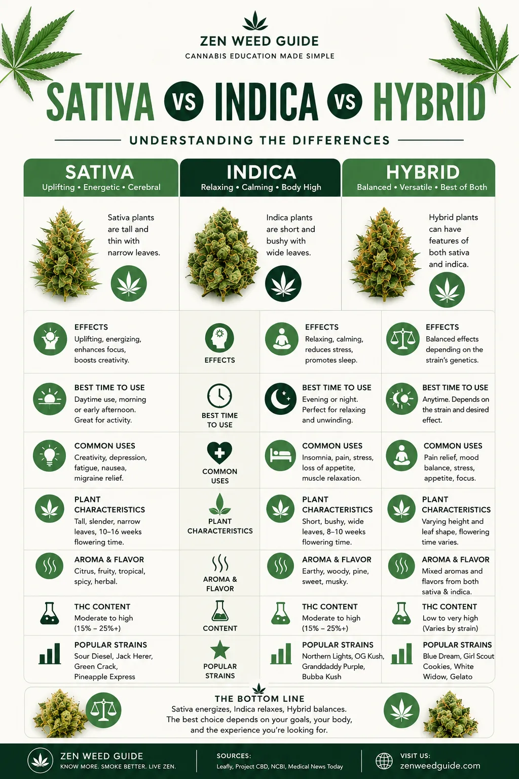 Sativa vs Indica vs Hybrid 3-way comparison infographic with effects, terpenes, and popular strains